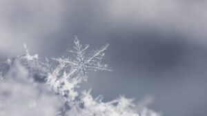 20296-istock-154451159 20296-istock-154451159